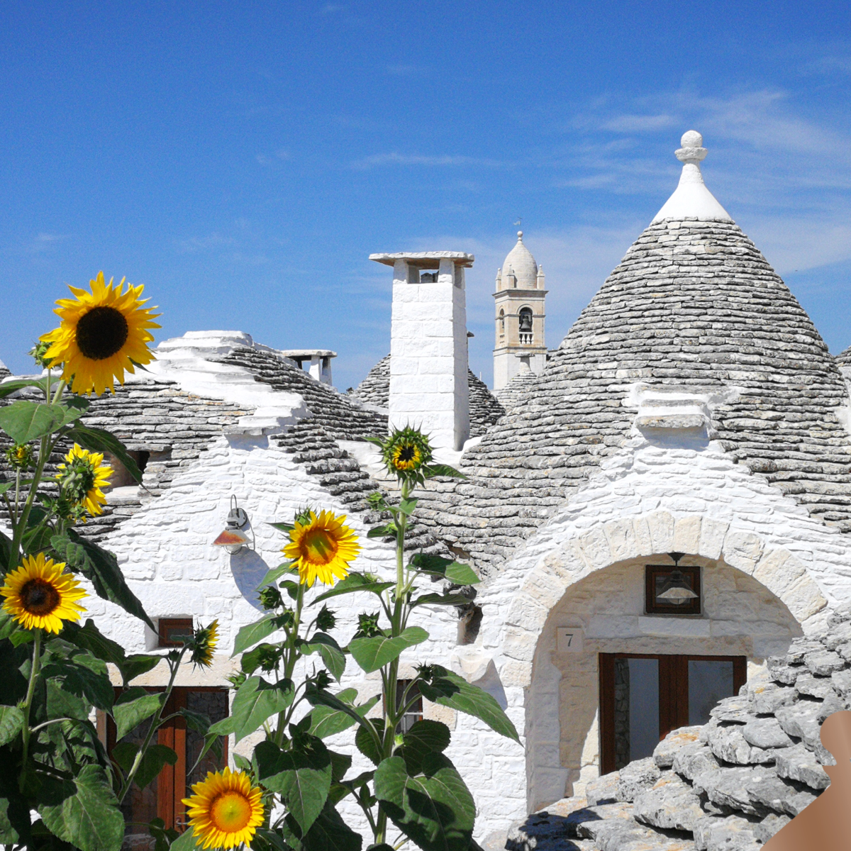 10 things to do in Alberobello - Itinerary among the trulli