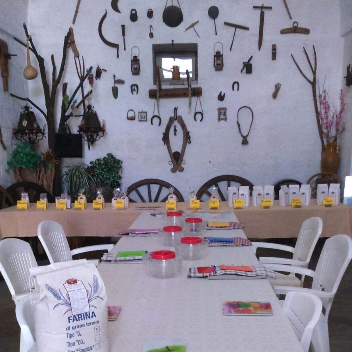 Visita e degustazione al mulino di Alberobello