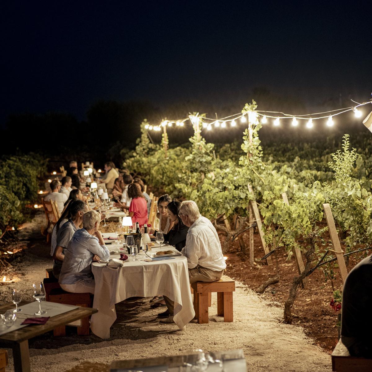 Wine tasting in cantina-museo o vigna