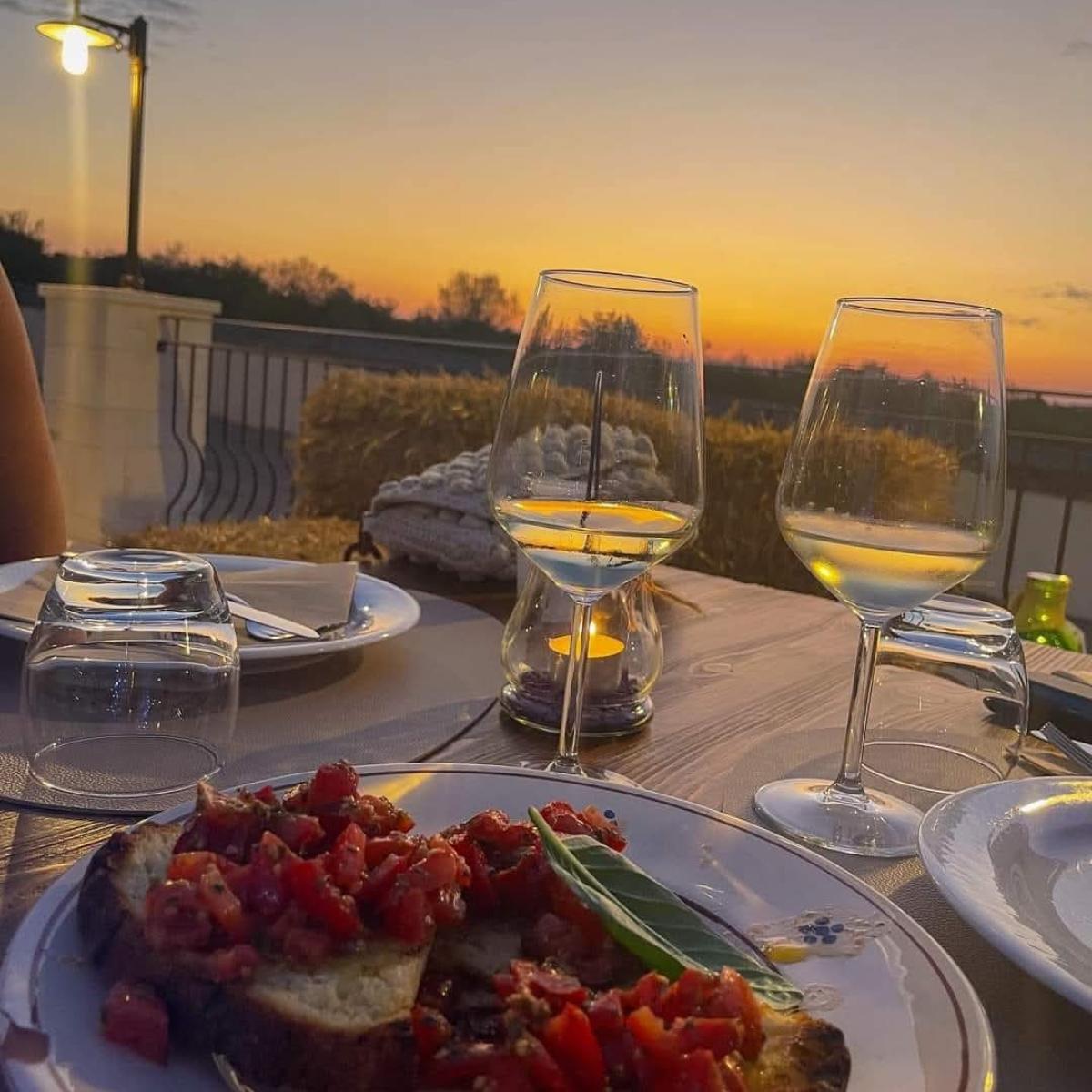 Wine tasting in the cellar or vineyard - Cantina Torricella